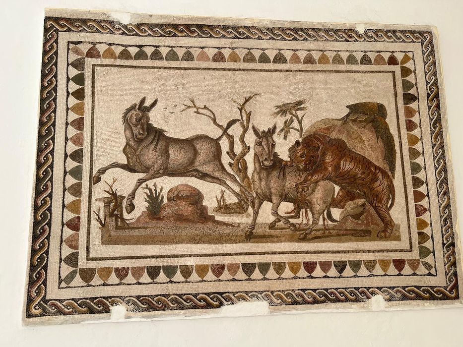 A Roman mosaic of animals at the Bardo