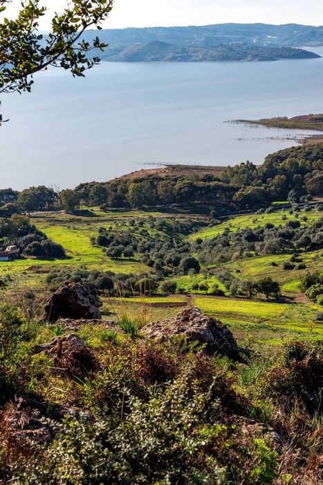 Green hills above the water in northern Tunisia