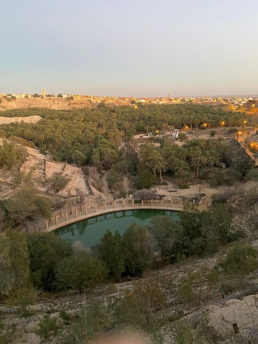 An oasis pool seen from the cliffs above