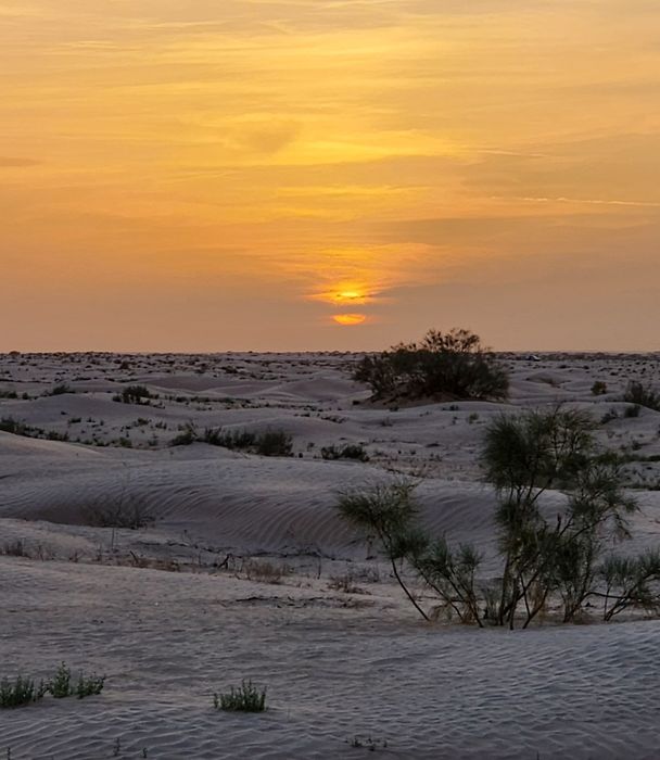 Sunset over the dunes of the Tunisian Sahara