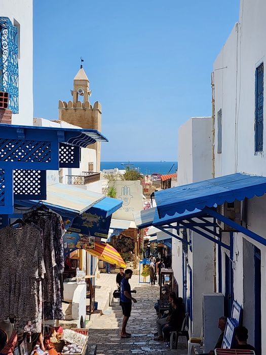 A blue-and-white lane in Sidi Bou Saïd above the sea