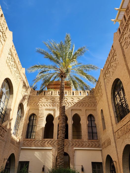 A palm in an ornate Tunisian courtyard