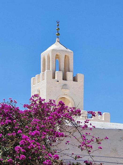 A whitewashed minaret behind bougainvillea
