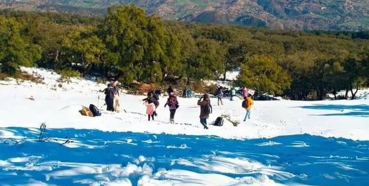 La neige sur les collines du Nord tunisien