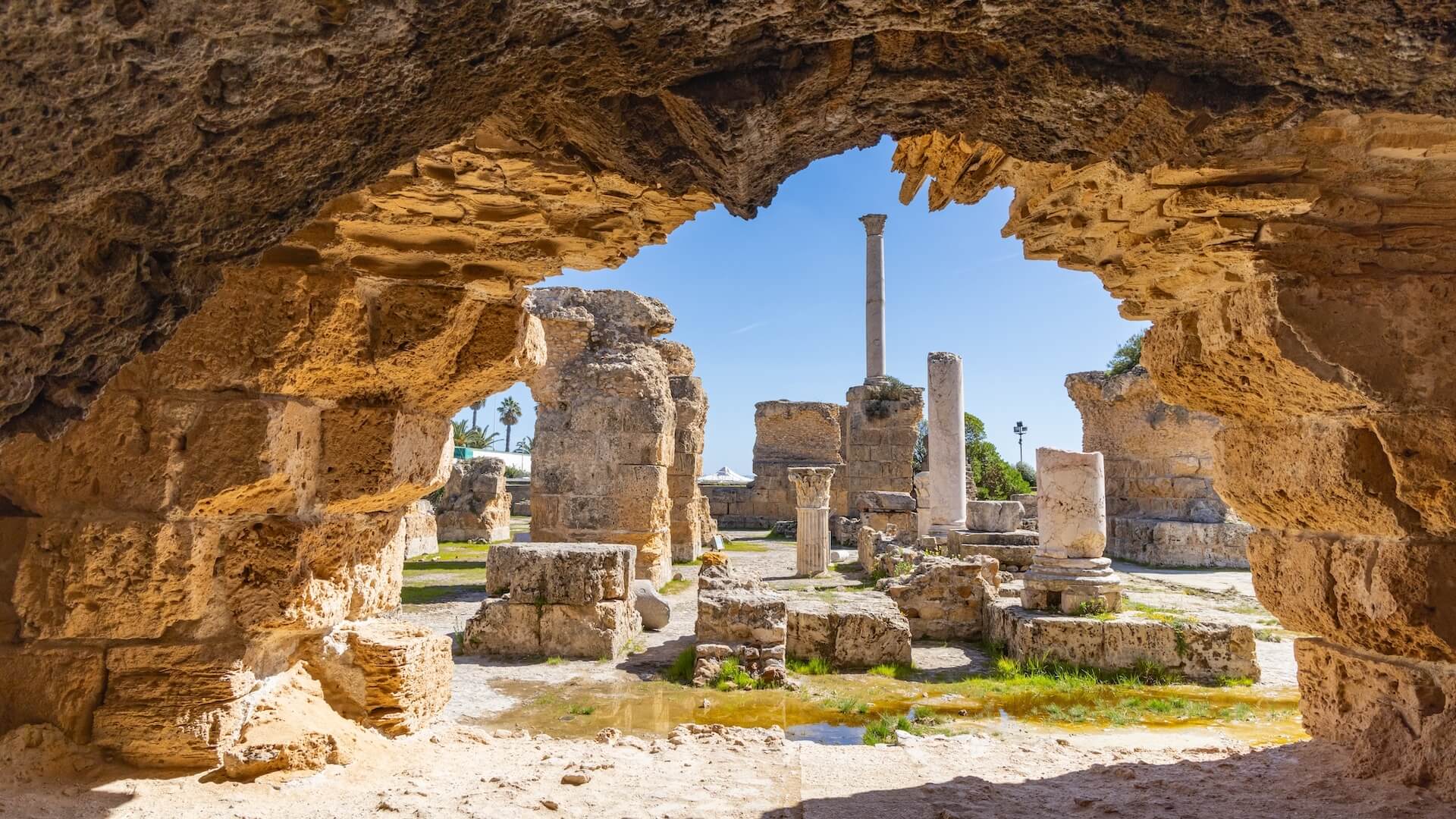 Les ruines de Carthage, site du patrimoine mondial de l'UNESCO