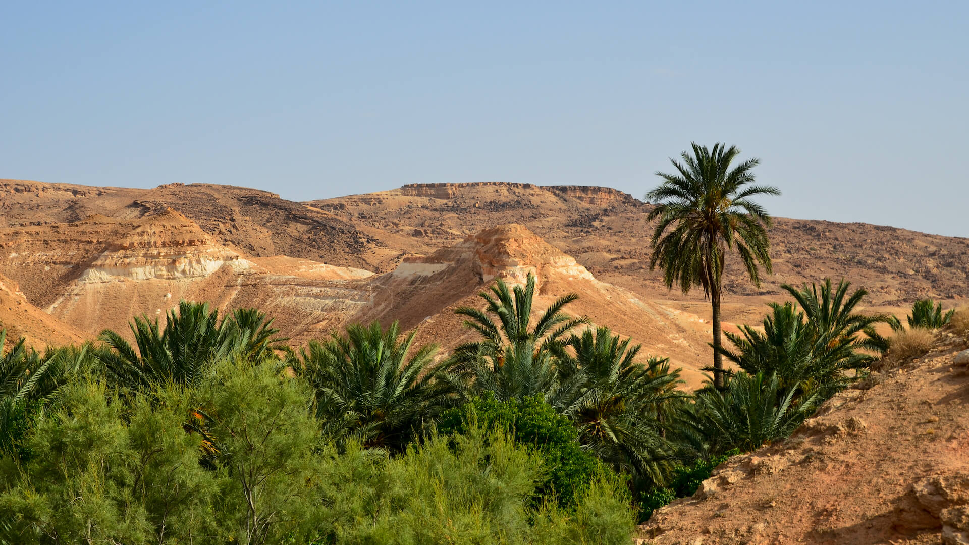Best of Tunisia: Private 4-Day Tunisia Tour