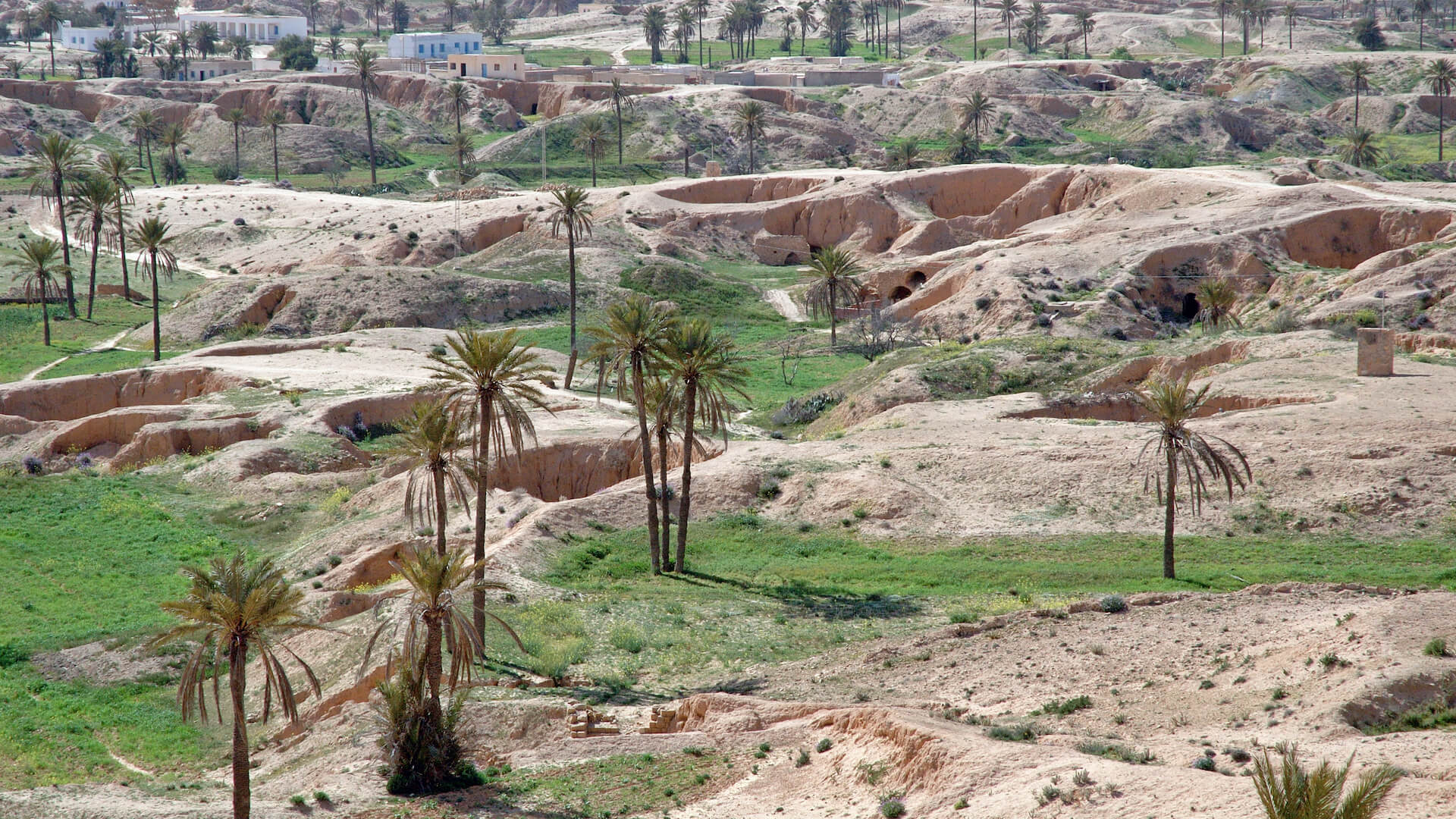 Les maisons troglodytes de Matmata à flanc de collines