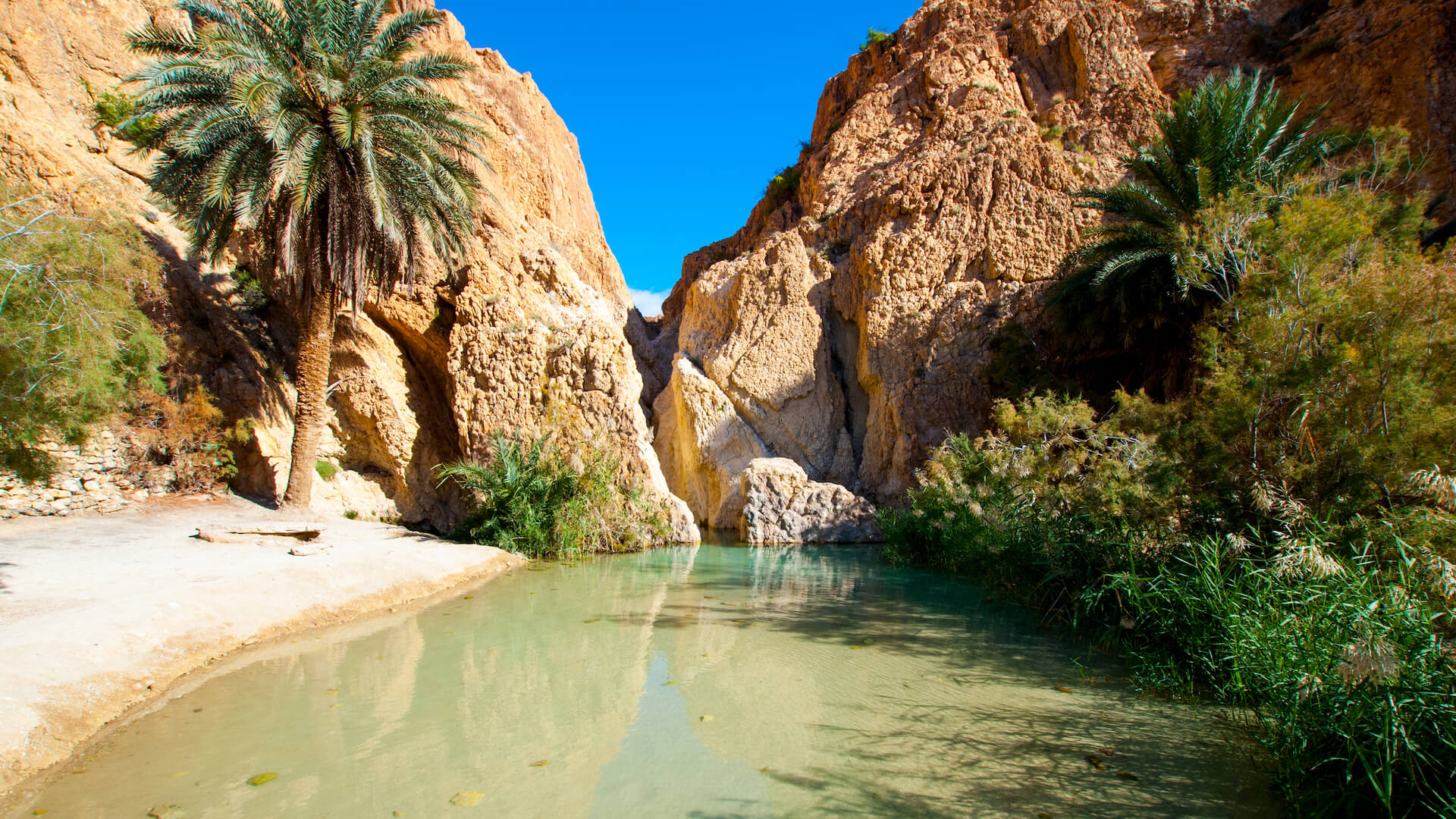 6-Day Tunisia Hiking Xperience