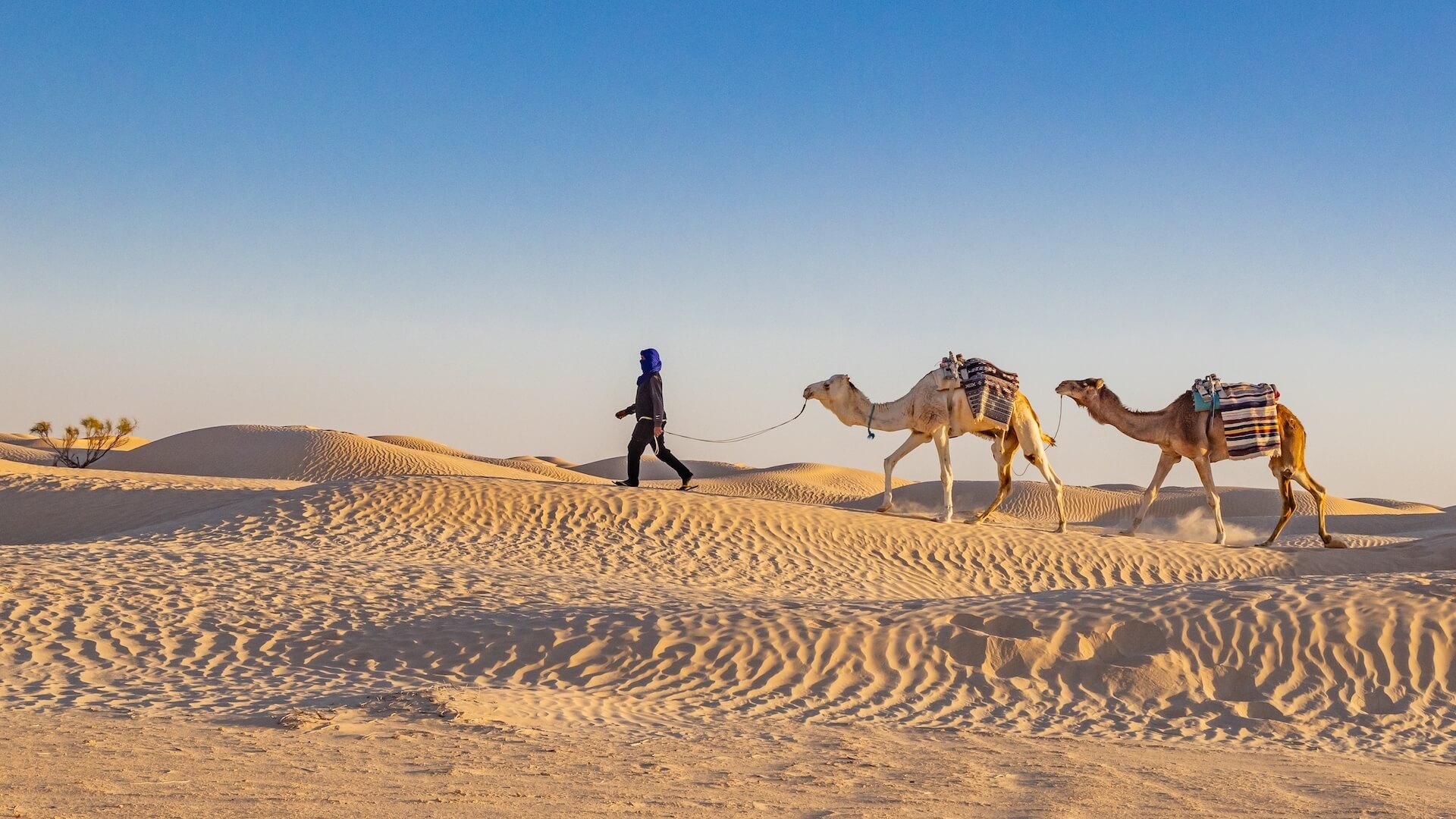 Sahara Xperience: Tunisia Desert Tour