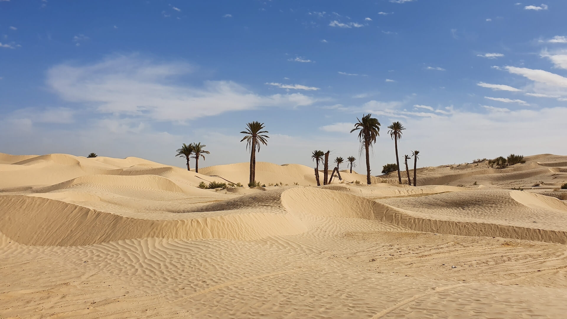 6-Day Tunisia Trekking Xpedition